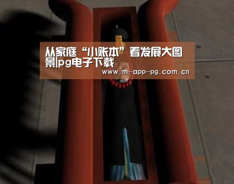 从家庭“小账本”看发展大图景|pg电子下载(图3) pg游戏