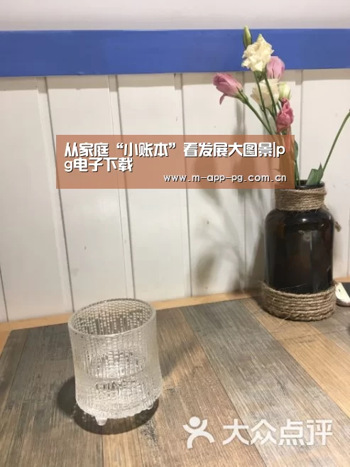 从家庭“小账本”看发展大图景|pg电子下载(图1) pg电子入口