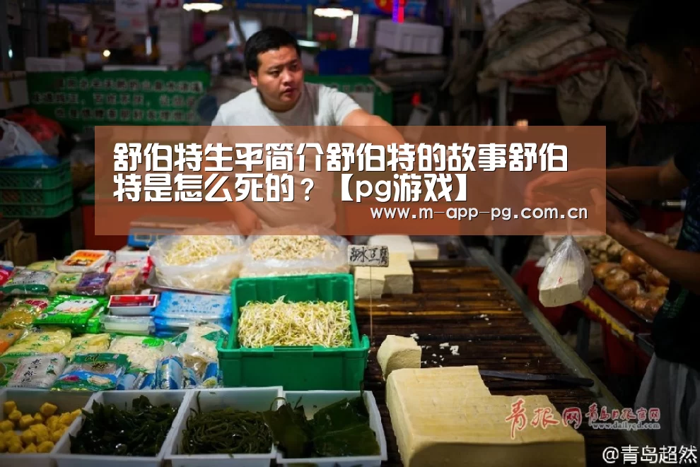 舒伯特生平简介舒伯特的故事舒伯特是怎么死的?【pg游戏】(图3) pg电子下载
