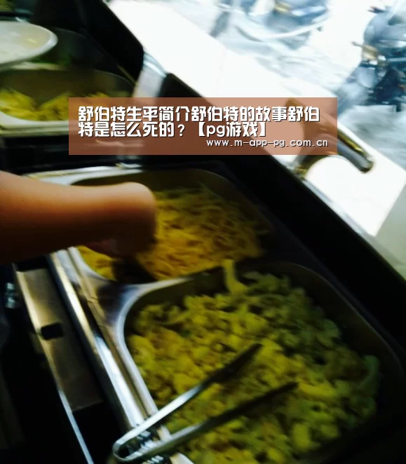 舒伯特生平简介舒伯特的故事舒伯特是怎么死的?【pg游戏】(图4) pg电子app