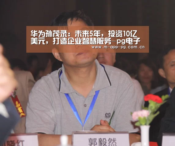 华为孙茂录:未来5年,投资10亿美元,打造企业智慧服务-pg电子下载(图2) pg电子下载