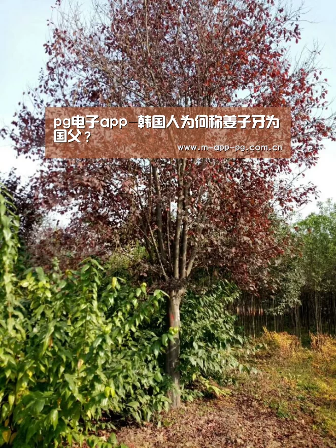 pg电子app-韩国人为何称姜子牙为国父?(图3) pg游戏