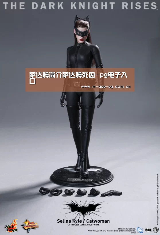 萨达姆简介萨达姆死因-pg电子入口(图1) pg游戏