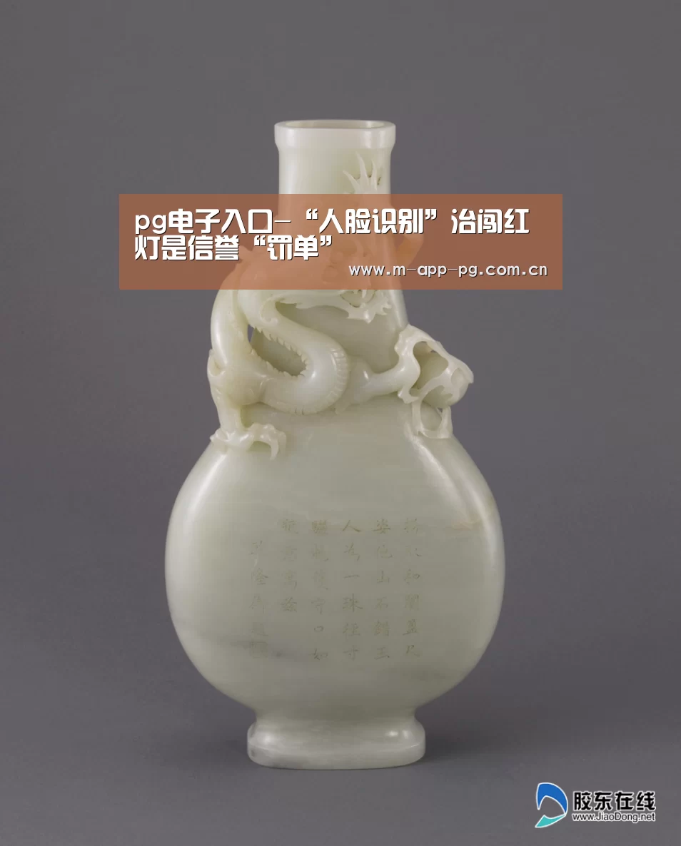 pg电子入口-“人脸识别”治闯红灯是信誉“罚单”(图4) pg游戏