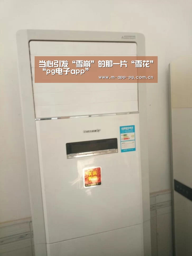 当心引发“雪崩”的那一片“雪花”“pg电子app”(图1) pg电子下载