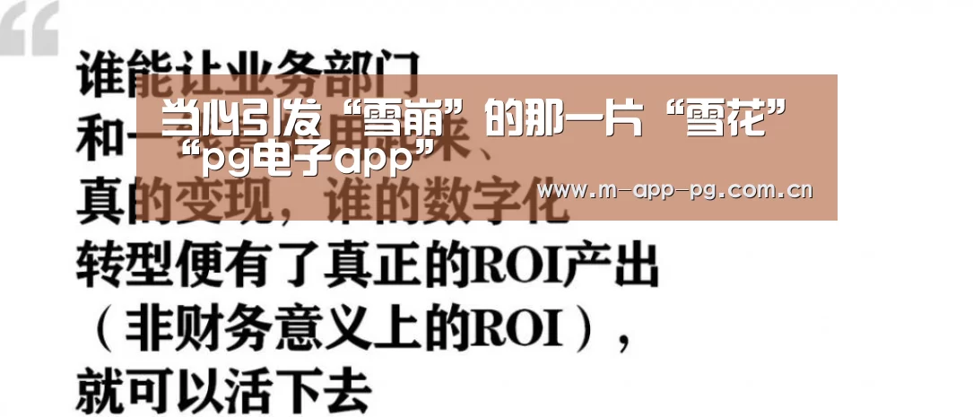 当心引发“雪崩”的那一片“雪花”“pg电子app”(图4) pg电子app