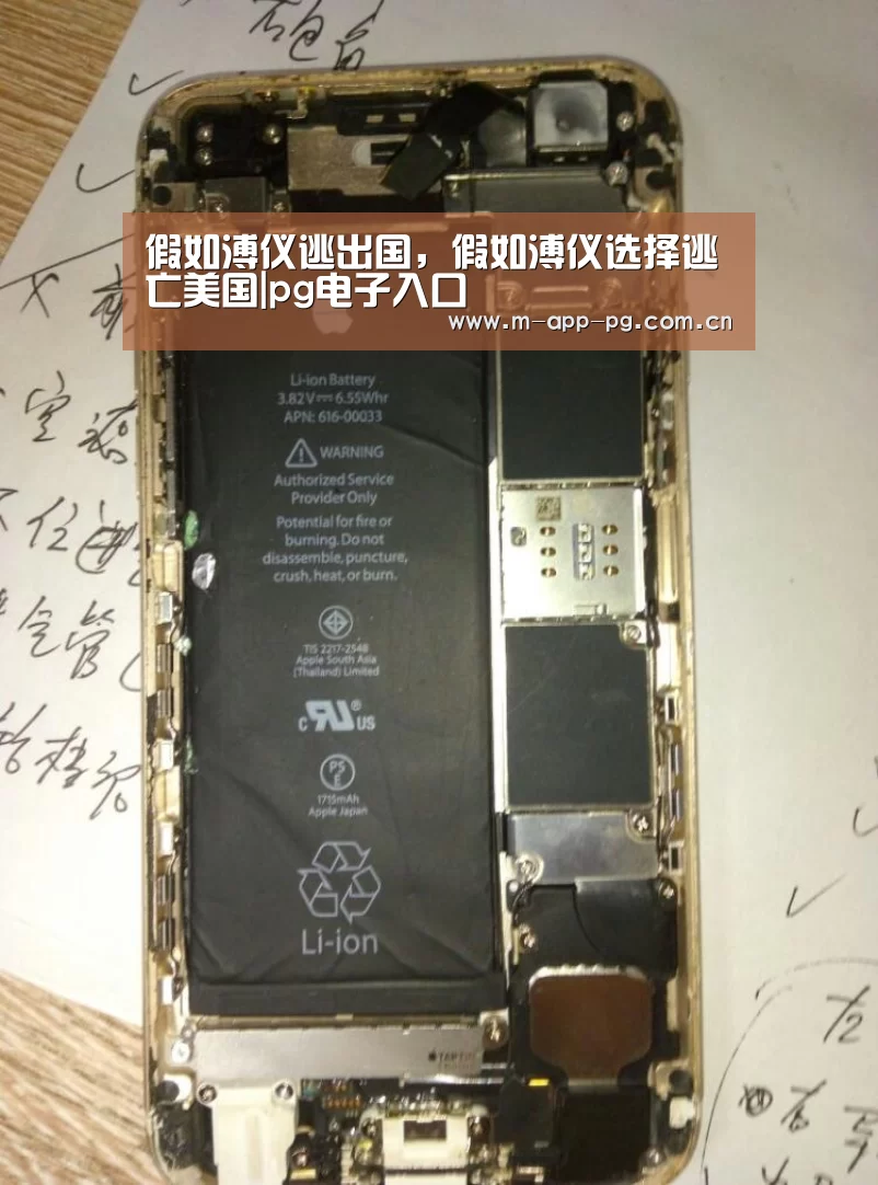 假如溥仪逃出国,假如溥仪选择逃亡美国|pg电子入口(图1) pg电子入口