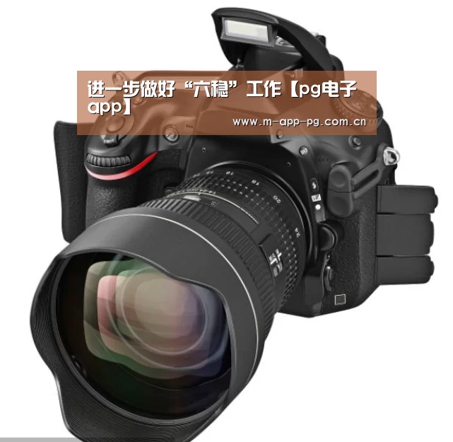 进一步做好“六稳”工作【pg电子app】(图2) pg电子下载