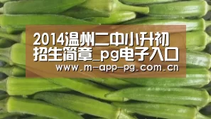 2014温州二中小升初招生简章_pg电子入口(图4) pg电子入口