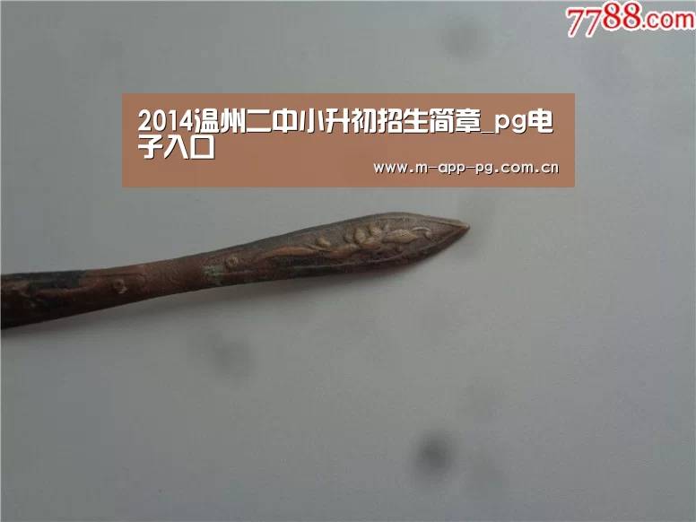 2014温州二中小升初招生简章_pg电子入口(图3) pg电子app